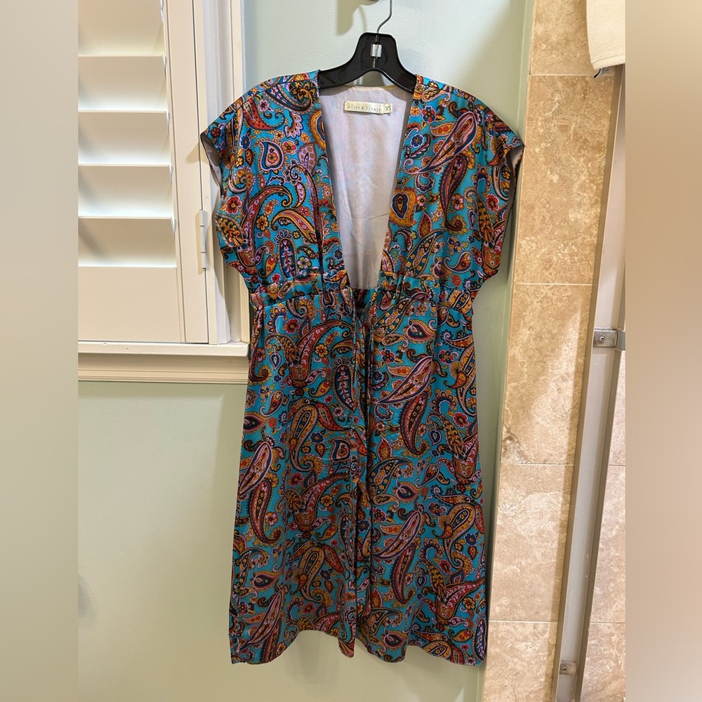 Alice & Trixie Blue and Brown Maxi Sundress with Dolman Sleeves